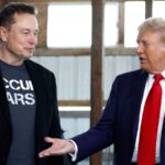 Welcome Elon Musk, the shadow president-elect of the United States